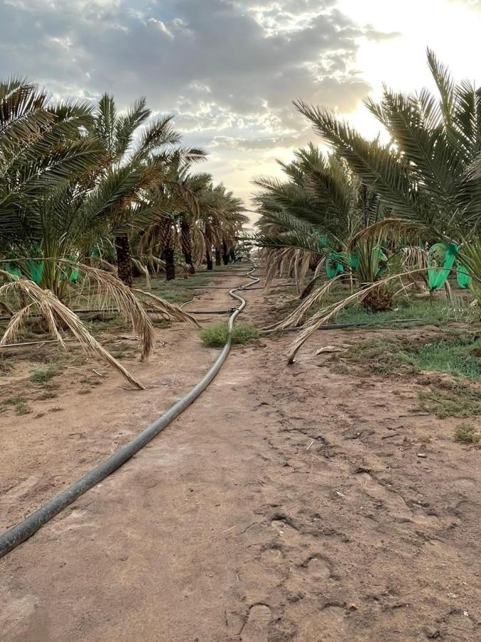 اضغط على الصورة لعرض أكبر.&nbsp;

الإسم:	6355_1732708978_njnindm1od.jpg&nbsp;
مشاهدات:	23&nbsp;
الحجم:	133.1 كيلوبايت&nbsp;
الهوية:	64509